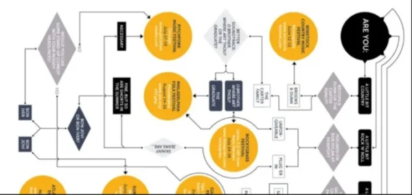 I will design flowchart, process maps, workflows and charts