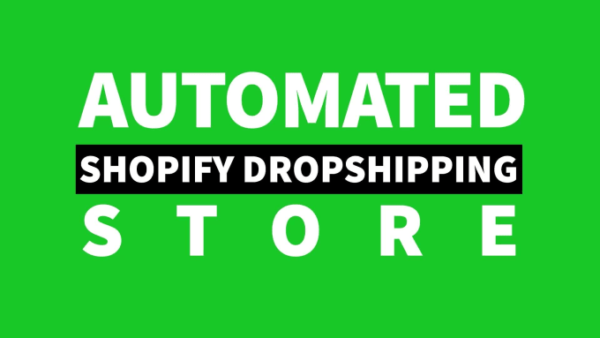 I will build automated dropshipping shopify store shopify website