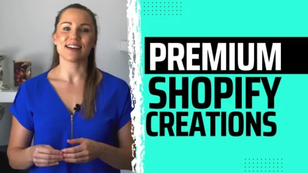 I will create you a profesional shopify dropshipping store